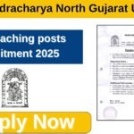 HNGU Recruitment 2025