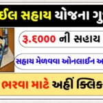 Smartphone Subsidy Scheme